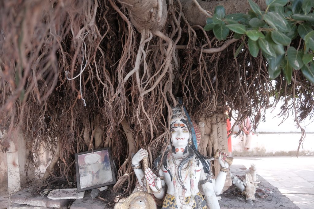 Shrine Beneath the Banyan Tree